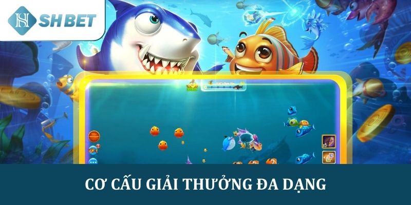 Cơ cấu giải thưởng đa dạng và có giá trị cao