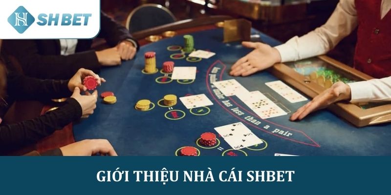 Giới thiệu nhà cái SHBET