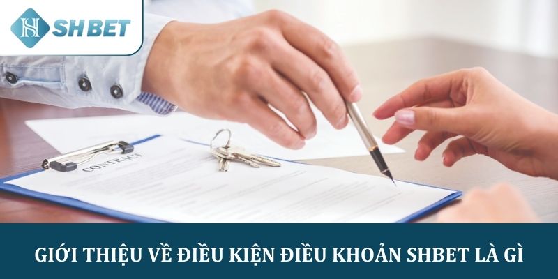 Giới thiệu về điều kiện điều khoản SHBET là gì?