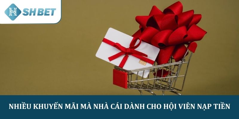 Nhiều khuyến mãi mà nhà cái dành cho hội viên nạp tiền