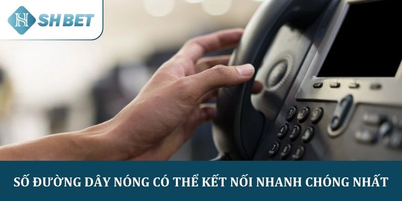 Số đường dây nóng có thể kết nối nhanh chóng nhất