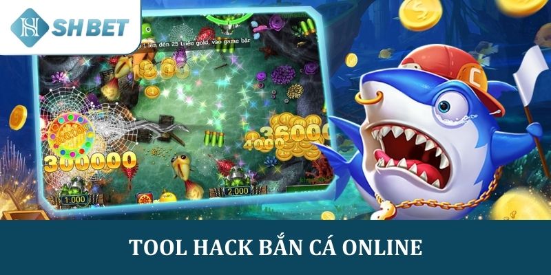 Top 6 Tool Hack Bắn Cá Online Nổi Bật Và Chất Lượng Nhất Hiện Nay