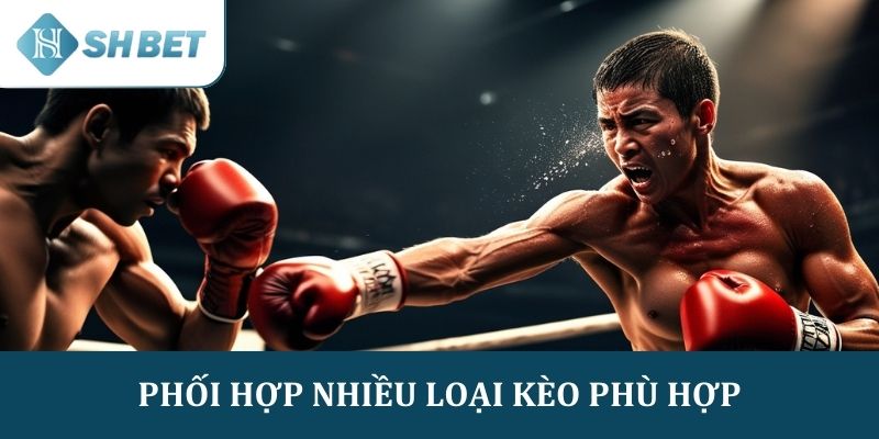 Phối hợp với các loại kèo phù hợp và hiệu quả